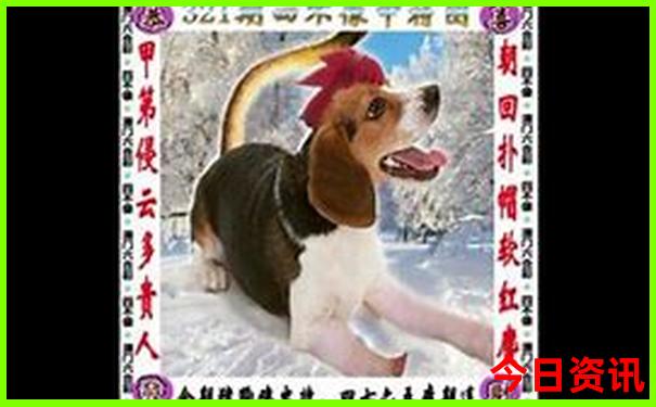 日照和青岛哪个更适合带孩子旅游
